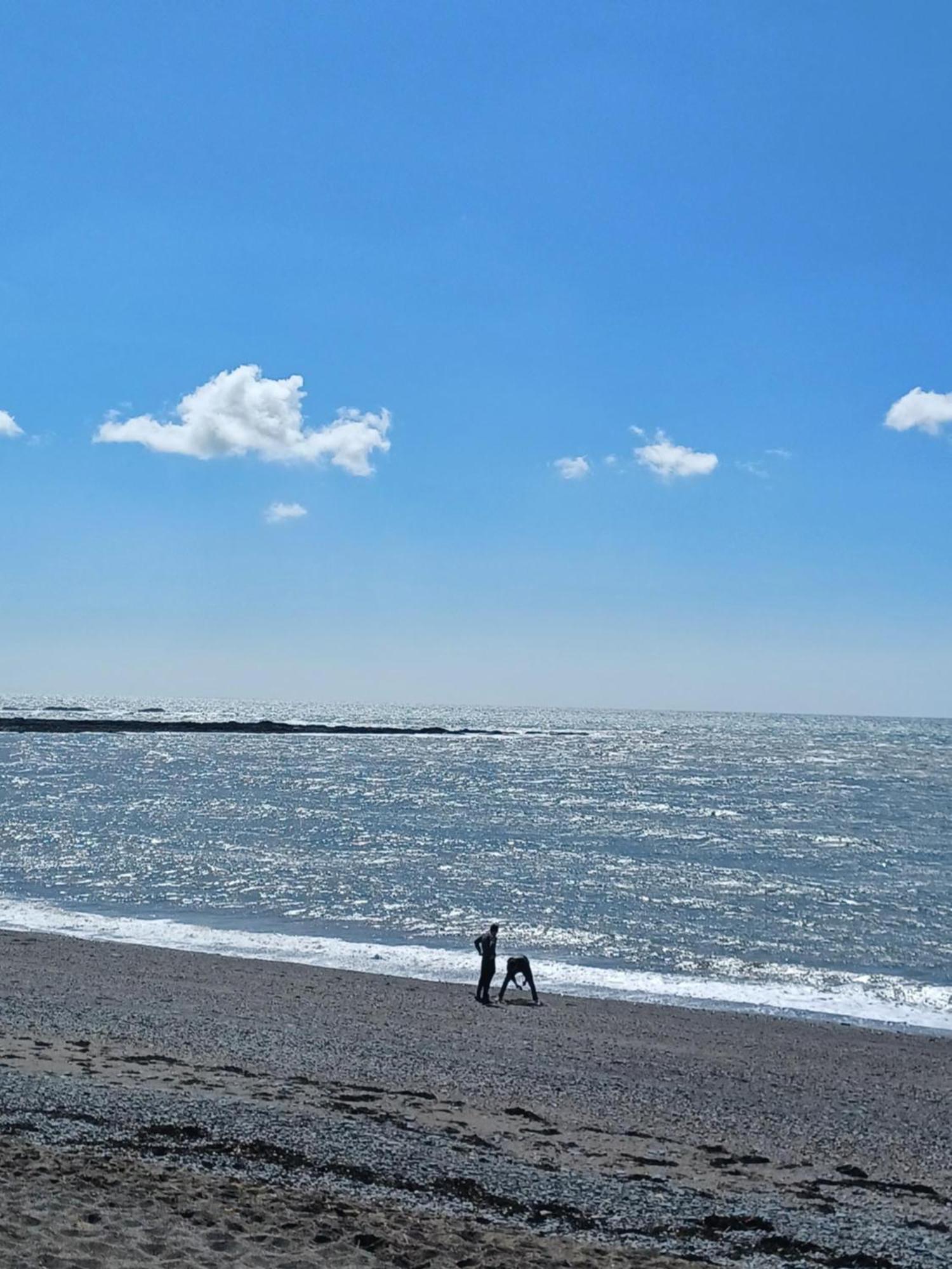 Apartment Seafront Bliss